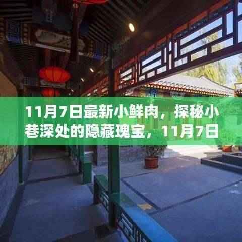 探秘小巷深处的隐藏瑰宝,揭秘最新小鲜肉特色小店(11月7日更新)