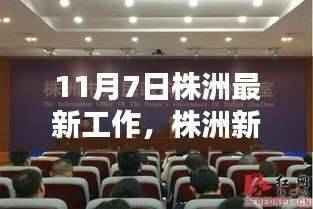 株洲新纪元,探寻最新工作时代印记的11月7日动态