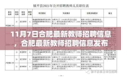 11月7日合肥最新教师招聘信息揭秘，教育领域的职业机遇探寻