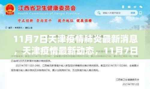 天津疫情最新动态,11月7日新冠肺炎疫情进展与影响分析