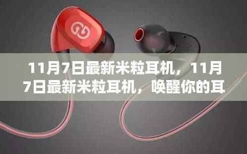 最新米粒耳机,唤醒耳朵,点亮学习之路的神奇装备(11月7日更新)
