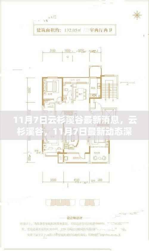 云杉溪谷最新动态深度评测,11月7日最新消息一览