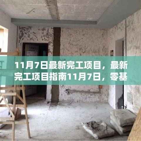 最新完工项目指南，零基础完成项目的详细步骤（11月7日最新完工）