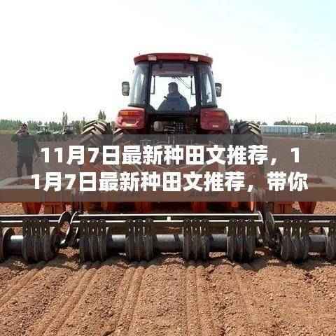 11月7日最新种田文推荐,领略乡村新风尚,感受田园生活的美好