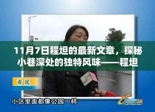 程坦独家揭秘,小巷深处的独特风味——11月7日程坦文章探秘