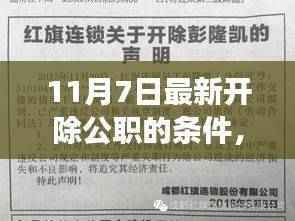 11月7日最新公职开除条件解析,开启新征程,拥抱自信与成就