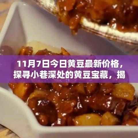 探寻黄豆宝藏,今日最新价格揭秘与特色小店的独特魅力