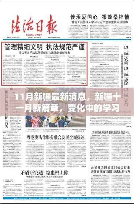 新疆11月新篇章,学习力量的蜕变与自信成就感的闪耀之旅