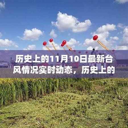 揭秘历史上的超强台风,揭秘十一月十日特殊时刻的实时动态与影响