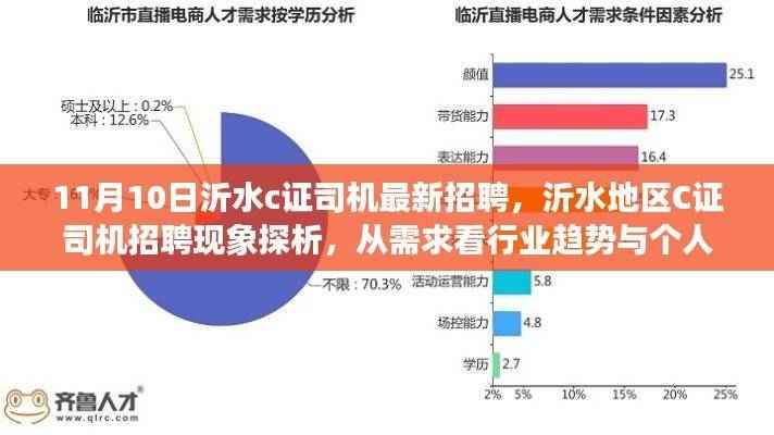 沂水地区C证司机招聘现象探析,需求背后的行业趋势与个人选择考量