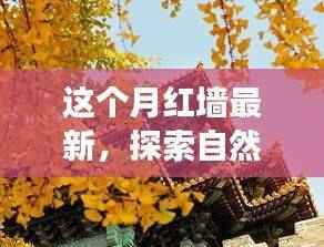 红墙新境探索之旅,自然美景与内心宁静的追寻