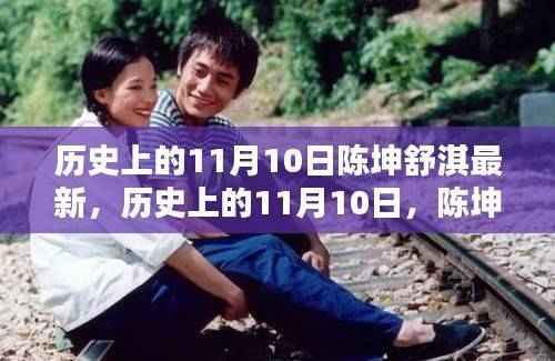 陈坤与舒淇的闪耀历史瞬间,回顾历史上的11月10日最新动态