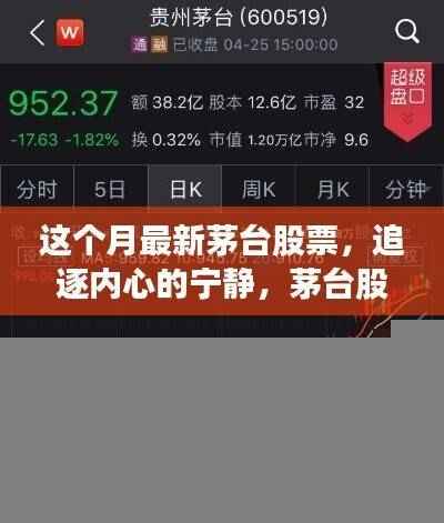 追逐内心的宁静，茅台股票之旅与自然的拥抱——最新市场动态分析