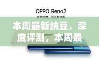 本周纳豆新品深度评测,特性、体验、竞品对比及用户群体洞察