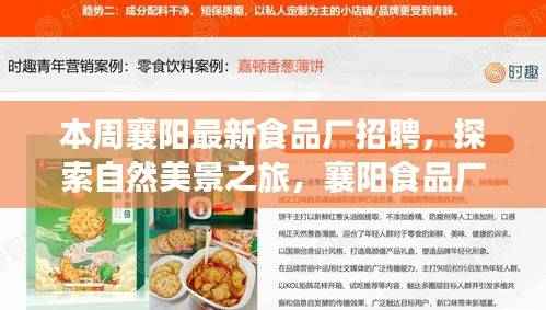 襄阳食品厂本周招聘启事,探索自然美景之旅,寻找内心的宁静与平和之旅