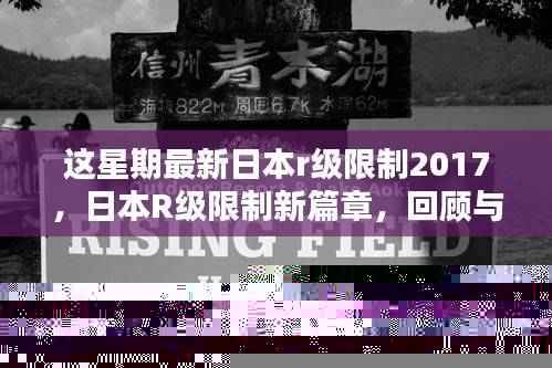 日本R级限制新篇章回顾与探索,探索涉黄问题的边界与争议