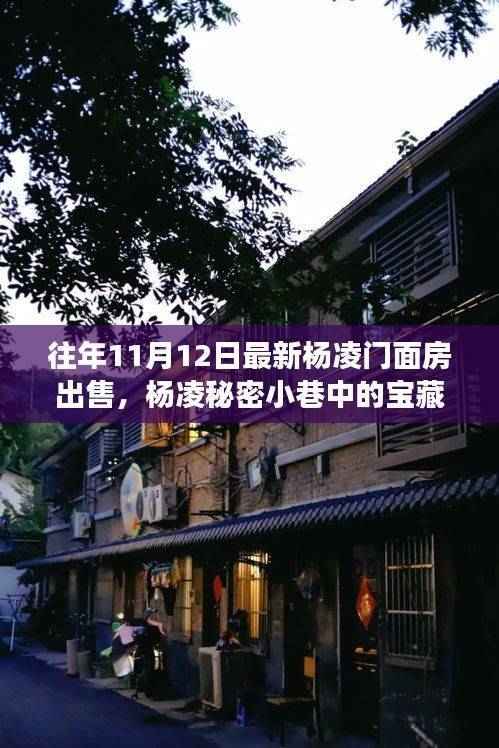 橘虞初梦 第41页