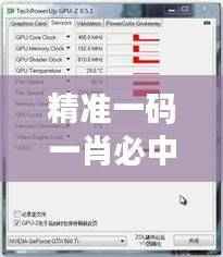 精准一码一肖必中100%,详尽解析揭秘——GTQ505.39专属版