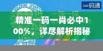 精准一码一肖必中100%,详尽解析揭秘——GTQ505.39专属版