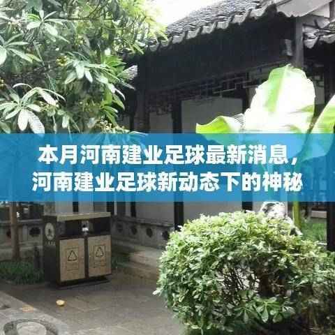 河南建业足球新动态与神秘小巷美食之旅的双重魅力探索