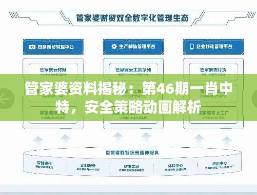 管家婆资料揭秘:第46期一肖中特,安全策略动画解析