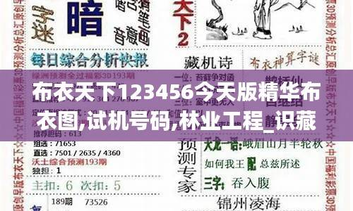 布衣天下123456今天版精华布衣图,试机号码,林业工程_识藏WBK886.51