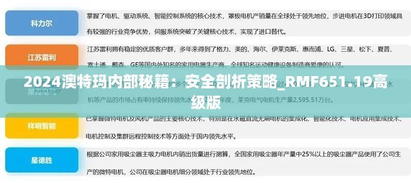 2024澳特玛内部秘籍:安全剖析策略_RMF651.19高级版