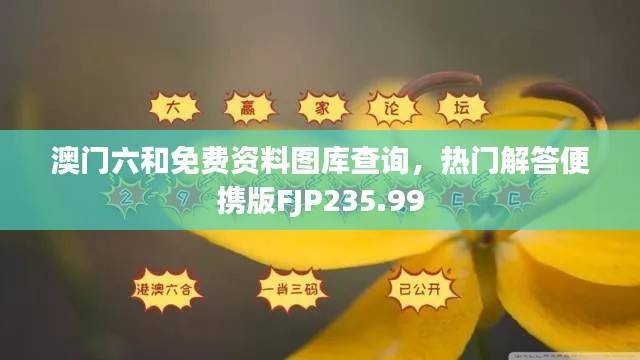 澳门六和免费资料图库查询,热门解答便携版FJP235.99