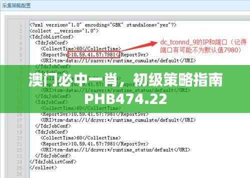 澳门必中一肖,初级策略指南PHB474.22