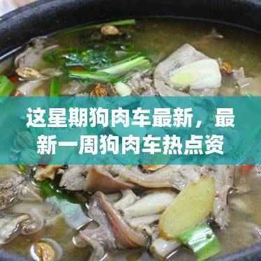 最新狗肉车热点资讯,行业趋势深度解读与热点探讨