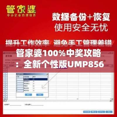 管家婆100%中奖攻略:全新个性版UMP856.39方案深度解析