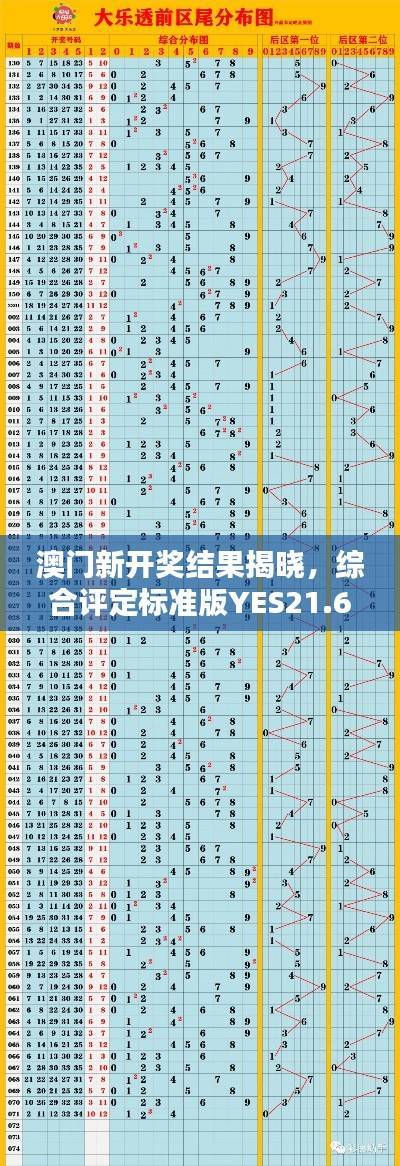 澳门新开奖结果揭晓，综合评定标准版YES21.6盒装