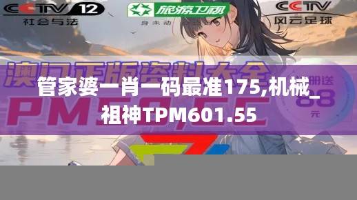 管家婆一肖一码最准175,机械_祖神TPM601.55