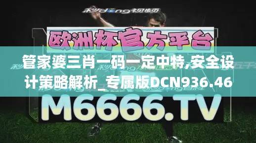 管家婆三肖一码一定中特,安全设计策略解析_专属版DCN936.46