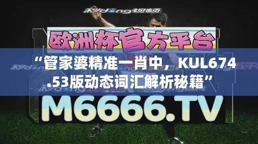 “管家婆精准一肖中,KUL674.53版动态词汇解析秘籍”