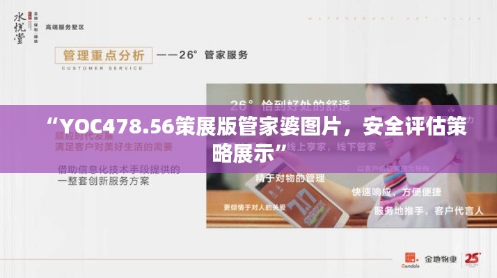 “YOC478.56策展版管家婆图片,安全评估策略展示”