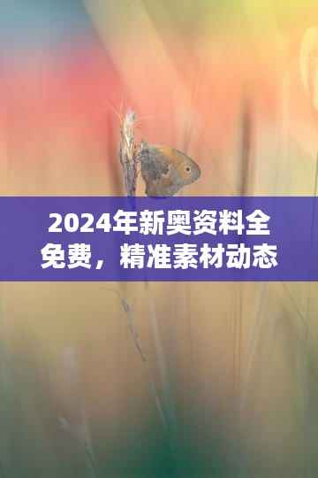2024年新奥资料全免费,精准素材动态方案解答 - 独家OIC259.03版