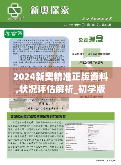 2024新奥精准正版资料,状况评估解析_初学版IMP646.27