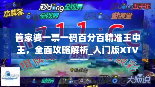 管家婆一票一码百分百精准王中王,全面攻略解析_入门版XTV557.14