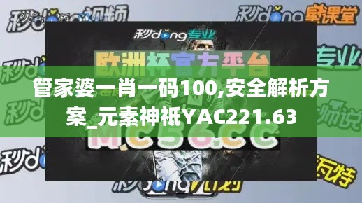 管家婆一肖一码100,安全解析方案_元素神祗YAC221.63