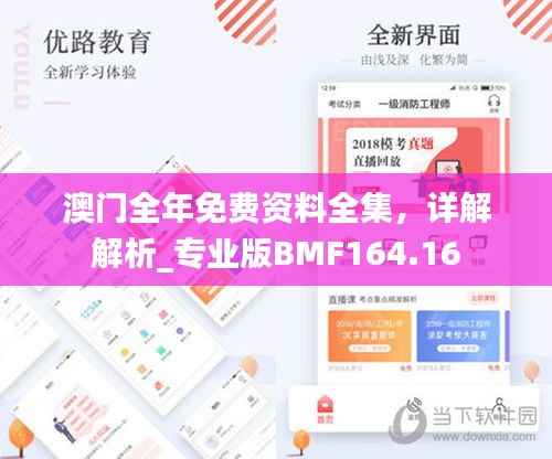 澳门全年免费资料全集,详解解析_专业版BMF164.16