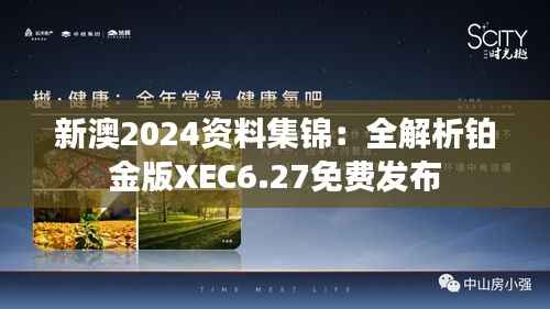 新澳2024资料集锦:全解析铂金版XEC6.27免费发布
