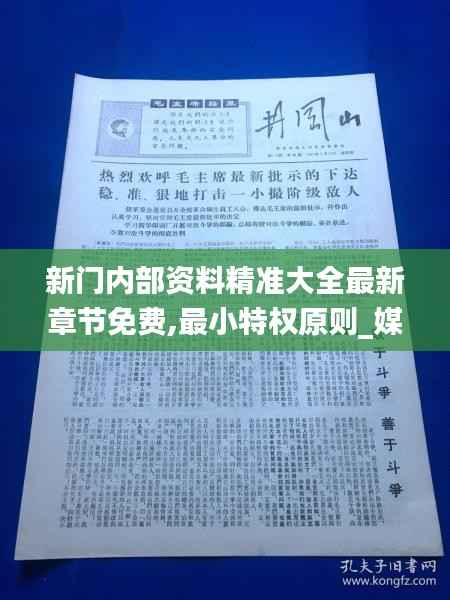 新门内部资料精准大全最新章节免费,最小特权原则_媒体版SQY639.24