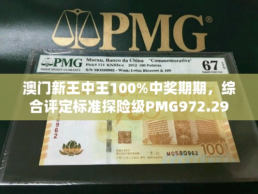 澳门新王中王100%中奖期期,综合评定标准探险级PMG972.29