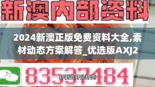 2024新澳正版免费资料大全,素材动态方案解答_优选版AXJ201.42