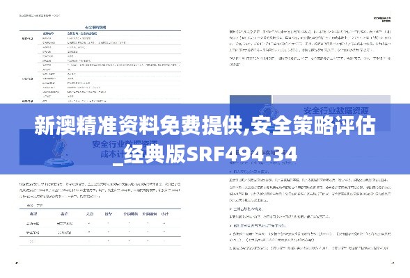 新澳精准资料免费提供,安全策略评估_经典版SRF494.34