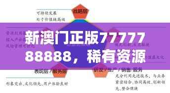 新澳门正版7777788888,稀有资源实施策略RMW16.67限量版
