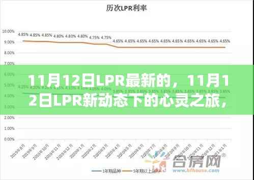 11月12日LPR新动态下的心灵与自然美景之旅,一场不解之缘的探寻