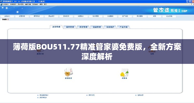 薄荷版BOU511.77精准管家婆免费版，全新方案深度解析