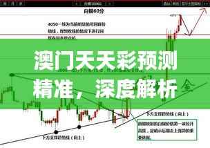 澳门天天彩预测精准,深度解析解读_经典版VDN70.72